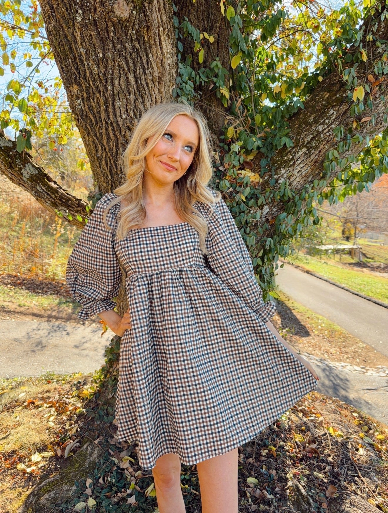 Gingham Puff Sleeve Mini Dress