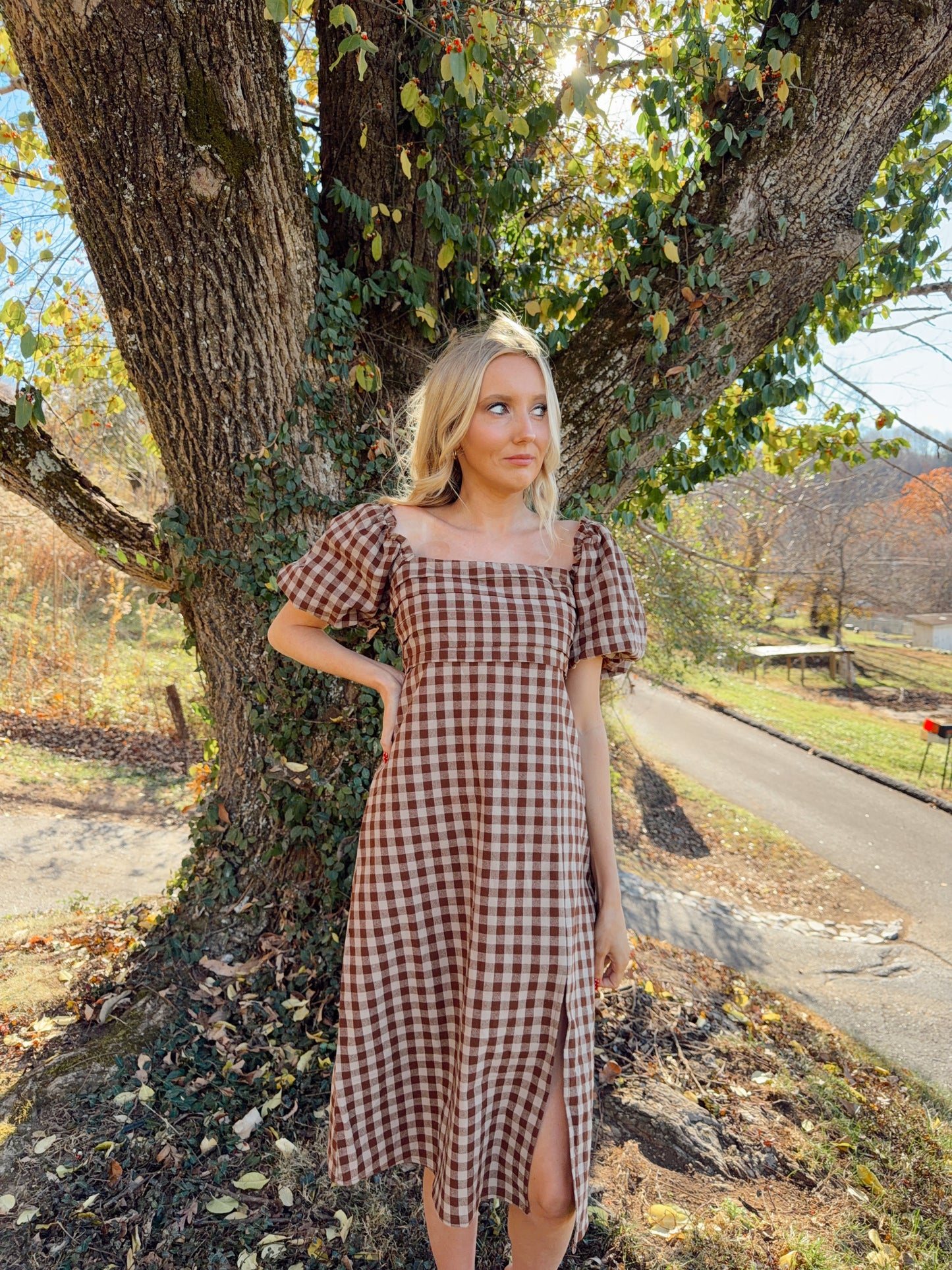 Gingham Print Puff Sleeve Dress